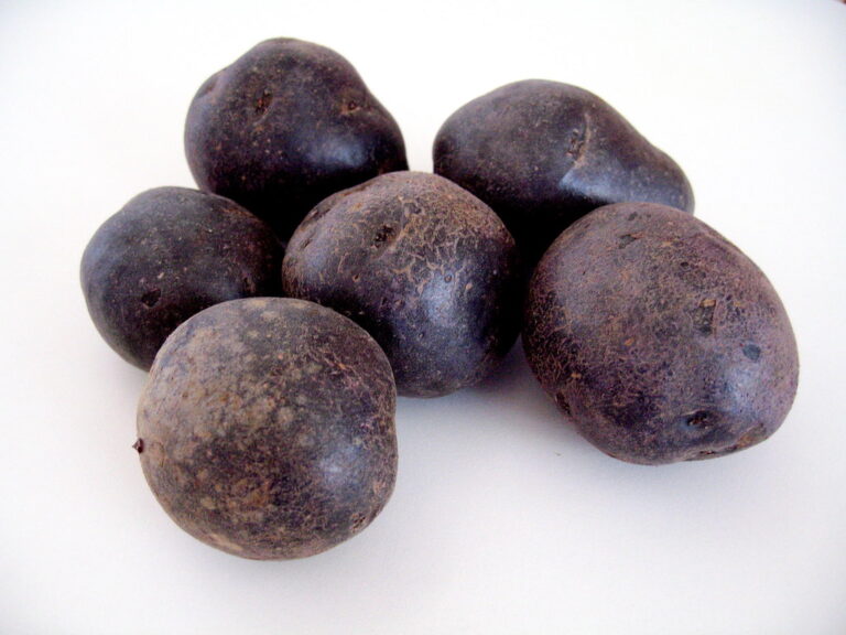 Qual a diferença entre batata inglesa e batata doce?