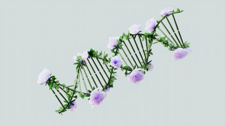 Qual a diferença entre DNA e RNA?