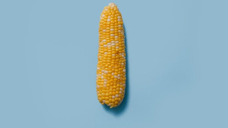 Pode Misturar milho com manteiga? Pode Misturar milho com manteiga?