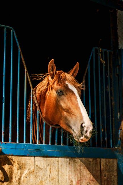 Qual a diferença entre animal ovíparo e vivíparo? Qual a diferença entre animal ovíparo e vivíparo?