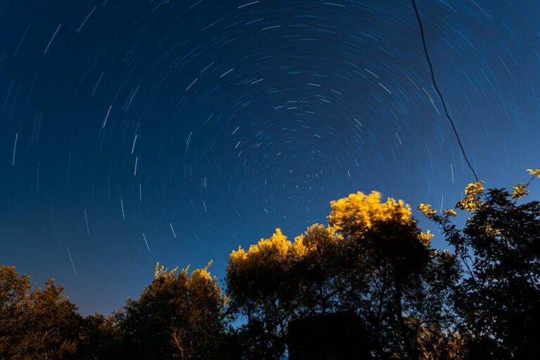 Qual a diferença entre lixadeira orbital e lixadeira roto-orbital?