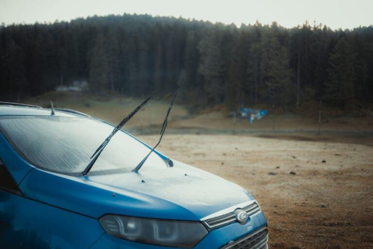 Qual a diferença entre Ford EcoSport e Renault Duster?
